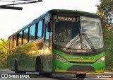 Setelagoano 1077 na cidade de Pedro Leopoldo, Minas Gerais, Brasil, por Igor Eduardo. Número da foto: #8095820.