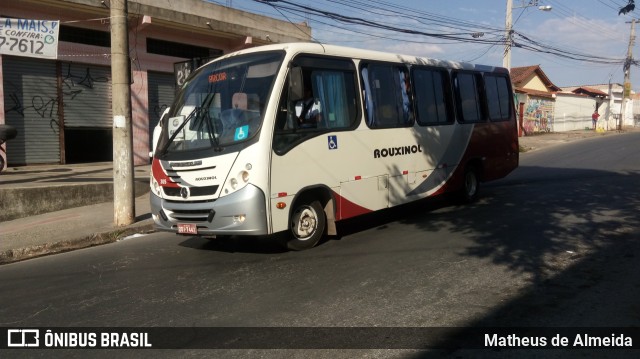 Rouxinol 305 na cidade de Contagem, Minas Gerais, Brasil, por Matheus de Almeida. Número da foto: #8104124.