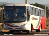 Rouxinol 363 na cidade de Belo Horizonte, Minas Gerais, Brasil, por Adão Raimundo Marcelino. Número da foto: #8106590.