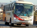 Rouxinol 1240 na cidade de Belo Horizonte, Minas Gerais, Brasil, por Adão Raimundo Marcelino. Número da foto: #8106598.