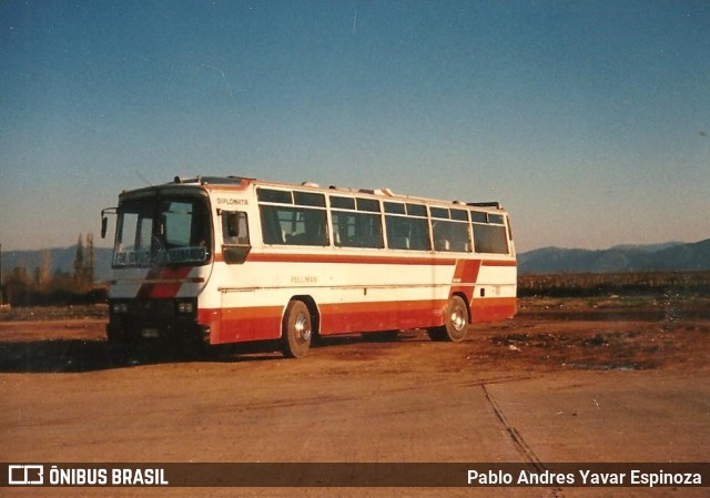 Pullman del Sur 10 na cidade de Santa Cruz, Colchagua, Libertador General Bernardo O'Higgins, Chile, por Pablo Andres Yavar Espinoza. ID da foto: 8109412.