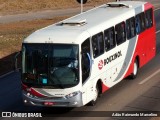 Rouxinol 355 na cidade de Belo Horizonte, Minas Gerais, Brasil, por Adão Raimundo Marcelino. Número da foto: #8109614.