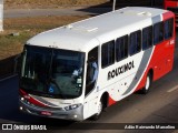 Rouxinol 1410 na cidade de Belo Horizonte, Minas Gerais, Brasil, por Adão Raimundo Marcelino. Número da foto: #8109612.