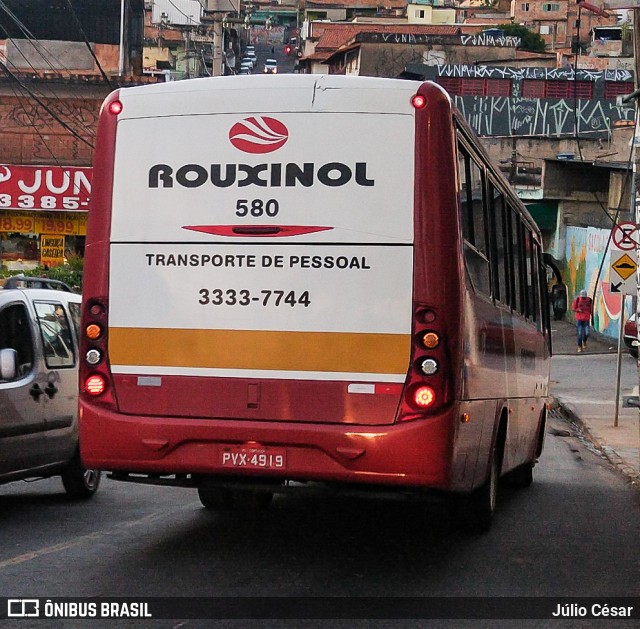 Rouxinol 580 na cidade de Belo Horizonte, Minas Gerais, Brasil, por Júlio César. Número da foto: #8112104.