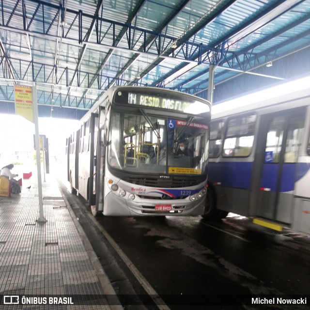 BBTT - Benfica Barueri Transporte e Turismo 1239 na cidade de Itapevi, São Paulo, Brasil, por Michel Nowacki. ID da foto: 8112162.