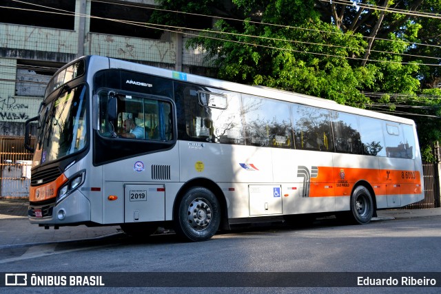 Alfa Rodobus > CooperAlfa 8 6003 na cidade de São Paulo, São Paulo, Brasil, por Eduardo Ribeiro. Número da foto: #8113132.