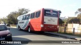 Rouxinol 1295 na cidade de Contagem, Minas Gerais, Brasil, por Matheus de Almeida. Número da foto: #8113442.