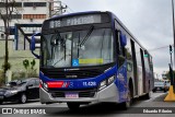 Viação Pirajuçara 11.428 na cidade de Taboão da Serra, São Paulo, Brasil, por Eduardo Ribeiro. Número da foto: #8113379.