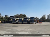 RodeRotas - Rotas de Viação do Triângulo 1401 na cidade de São Paulo, São Paulo, Brasil, por Marcelo Horta. Número da foto: #8113619.