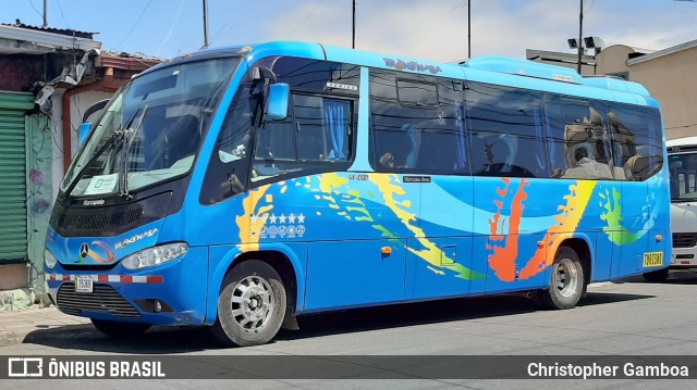 Rovicsa SJB 15369 na cidade de Cartago, Cartago, Costa Rica, por Christopher Gamboa. Número da foto: #8067964.
