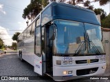 Zenatur Turismo 1954 na cidade de São José dos Pinhais, Paraná, Brasil, por Antonio  Araujo. Número da foto: #8067834.
