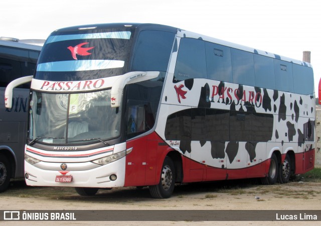 Pássaro Prata Transportadora Turística 5380 na cidade de Arraial do Cabo, Rio de Janeiro, Brasil, por Lucas Lima. ID da foto: 8121090.