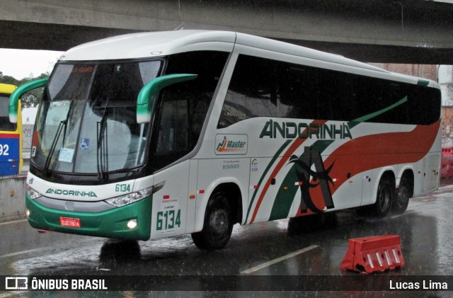 Empresa de Transportes Andorinha 6134 na cidade de Rio de Janeiro, Rio de Janeiro, Brasil, por Lucas Lima. Número da foto: #8120829.
