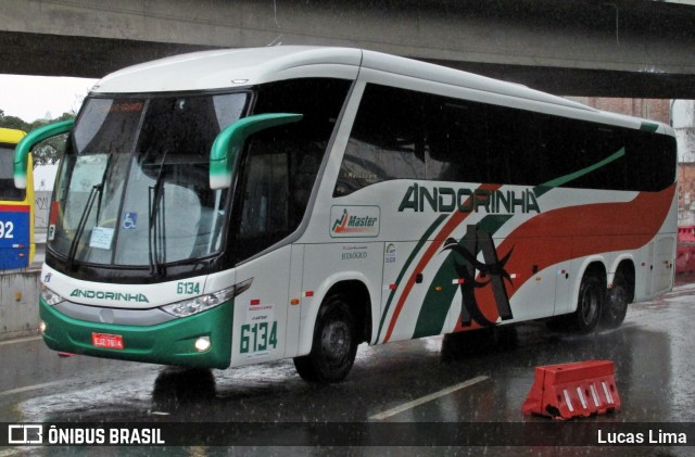 Empresa de Transportes Andorinha 6134 na cidade de Rio de Janeiro, Rio de Janeiro, Brasil, por Lucas Lima. ID da foto: 8120829.