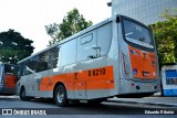 Alfa Rodobus > CooperAlfa 8 6210 na cidade de São Paulo, São Paulo, Brasil, por Eduardo Ribeiro. Número da foto: #8121796.
