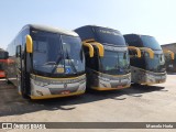 RodeRotas - Rotas de Viação do Triângulo 1401 na cidade de São Paulo, São Paulo, Brasil, por Marcelo Horta. Número da foto: #8121045.