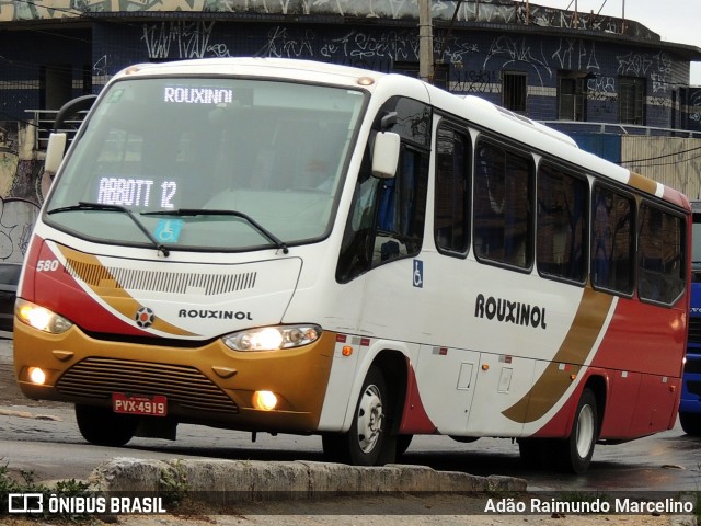 Rouxinol 580 na cidade de Belo Horizonte, Minas Gerais, Brasil, por Adão Raimundo Marcelino. Número da foto: #8124544.