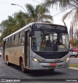 Viação Lira 12305 na cidade de Hortolândia, São Paulo, Brasil, por Celso Gomes. Número da foto: #:id.
