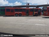 Borborema Imperial Transportes 354 na cidade de Recife, Pernambuco, Brasil, por Mateus Barbara da Silva. Número da foto: #8122151.