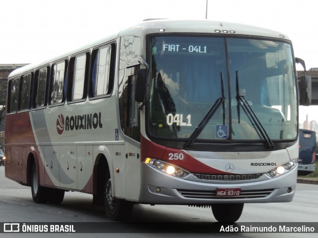 Rouxinol 250 na cidade de Belo Horizonte, Minas Gerais, Brasil, por Adão Raimundo Marcelino. Número da foto: #8127039.