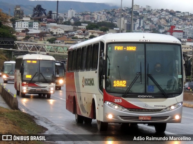 Rouxinol 333 na cidade de Belo Horizonte, Minas Gerais, Brasil, por Adão Raimundo Marcelino. Número da foto: #8126844.