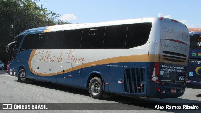 Bia Turismo > Aellos de Ouro 8216 na cidade de Aparecida, São Paulo, Brasil, por Alex Ramos Ribeiro. Número da foto: #8133084.