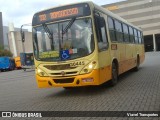 Independência > Trans Oeste Transportes 30445 na cidade de Belo Horizonte, Minas Gerais, Brasil, por Viavel Transportes. Número da foto: #8131364.