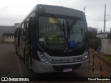 Independência > Trans Oeste Transportes 31093 na cidade de Belo Horizonte, Minas Gerais, Brasil, por Viavel Transportes. Número da foto: #8131701.