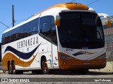 Viação Sertaneja 20192 na cidade de Divinópolis, Minas Gerais, Brasil, por Igor Policarpo. Número da foto: #8135842.