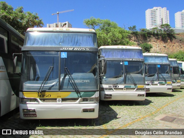Empresa Gontijo de Transportes 11350 na cidade de Belo Horizonte, Minas Gerais, Brasil, por Douglas Célio Brandao. Número da foto: #8136872.
