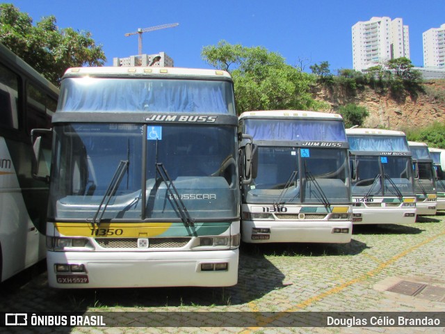 Empresa Gontijo de Transportes 11350 na cidade de Belo Horizonte, Minas Gerais, Brasil, por Douglas Célio Brandao. ID da foto: 8136872.