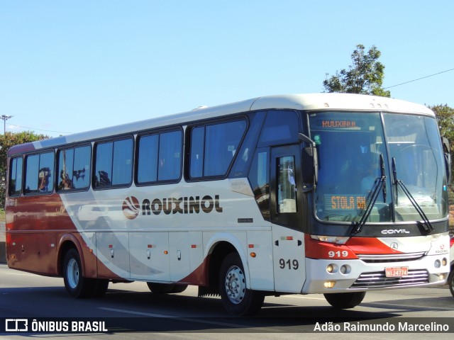 Rouxinol 919 na cidade de Belo Horizonte, Minas Gerais, Brasil, por Adão Raimundo Marcelino. ID da foto: 8138517.