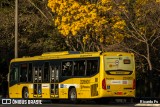 Viação Pioneira 228800 na cidade de Brasília, Distrito Federal, Brasil, por Ricardo Fs. Número da foto: #8136937.