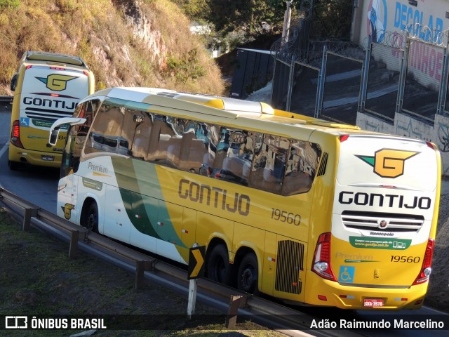 Empresa Gontijo de Transportes 19560 na cidade de Belo Horizonte, Minas Gerais, Brasil, por Adão Raimundo Marcelino. Número da foto: #8142010.