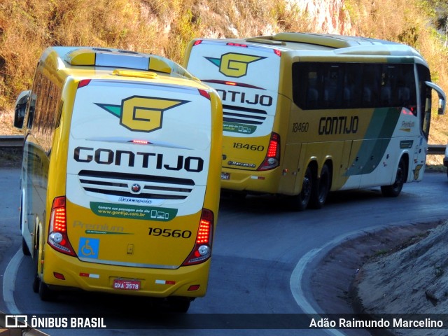 Empresa Gontijo de Transportes 19560 na cidade de Belo Horizonte, Minas Gerais, Brasil, por Adão Raimundo Marcelino. Número da foto: #8142018.