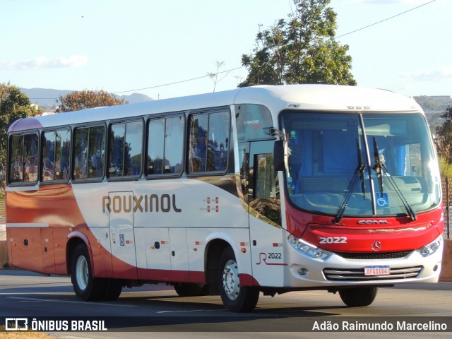 Rouxinol 2022 na cidade de Belo Horizonte, Minas Gerais, Brasil, por Adão Raimundo Marcelino. Número da foto: #8142265.