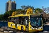 Viação Pioneira 229041 na cidade de Brasília, Distrito Federal, Brasil, por Ricardo Fs. Número da foto: #8139233.