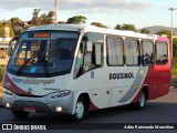 Rouxinol 130 na cidade de Belo Horizonte, Minas Gerais, Brasil, por Adão Raimundo Marcelino. Número da foto: #8142285.