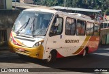 Rouxinol 1615 na cidade de Belo Horizonte, Minas Gerais, Brasil, por Júlio César. Número da foto: #8139297.