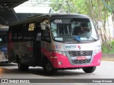 AWM Locação e Transportes 441 na cidade de Guarulhos, São Paulo, Brasil, por George Miranda. Número da foto: #8143736.