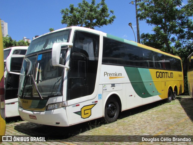 Empresa Gontijo de Transportes 11665 na cidade de Belo Horizonte, Minas Gerais, Brasil, por Douglas Célio Brandao. Número da foto: #8147024.