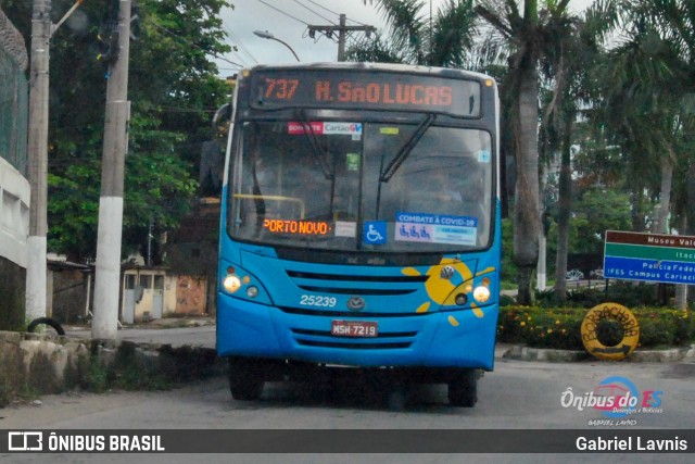 Viação Satélite 25239 na cidade de Vila Velha, Espírito Santo, Brasil, por Gabriel Lavnis. Número da foto: #8069438.
