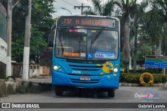 Viação Satélite 25239 na cidade de Vila Velha, Espírito Santo, Brasil, por Gabriel Lavnis. ID da foto: 8069438.