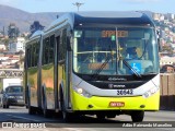 Bettania Ônibus 30542 na cidade de Belo Horizonte, Minas Gerais, Brasil, por Adão Raimundo Marcelino. Número da foto: #8072286.