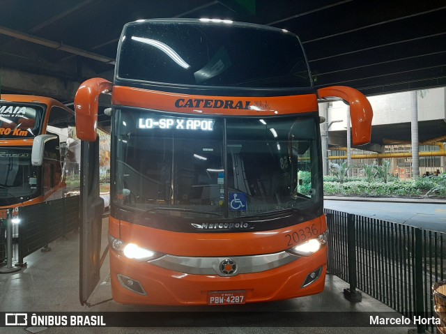 Catedral Turismo 20336 na cidade de São Paulo, São Paulo, Brasil, por Marcelo Horta. Número da foto: #8148677.