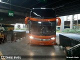 Catedral Turismo 20336 na cidade de São Paulo, São Paulo, Brasil, por Marcelo Horta. Número da foto: #8148704.