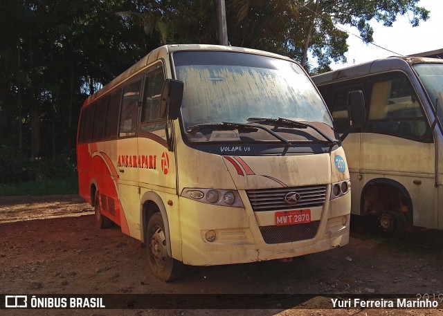 TransArapari 207 na cidade de Barcarena, Pará, Brasil, por Yuri Ferreira Marinho. Número da foto: #8150881.
