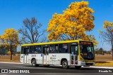 Viação Pioneira 226475 na cidade de Brasília, Distrito Federal, Brasil, por Ricardo Fs. Número da foto: #8151600.