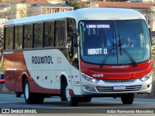 Rouxinol 1688 na cidade de Belo Horizonte, Minas Gerais, Brasil, por Adão Raimundo Marcelino. Número da foto: #8078358.