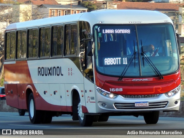 Rouxinol 1688 na cidade de Belo Horizonte, Minas Gerais, Brasil, por Adão Raimundo Marcelino. ID da foto: 8078358.